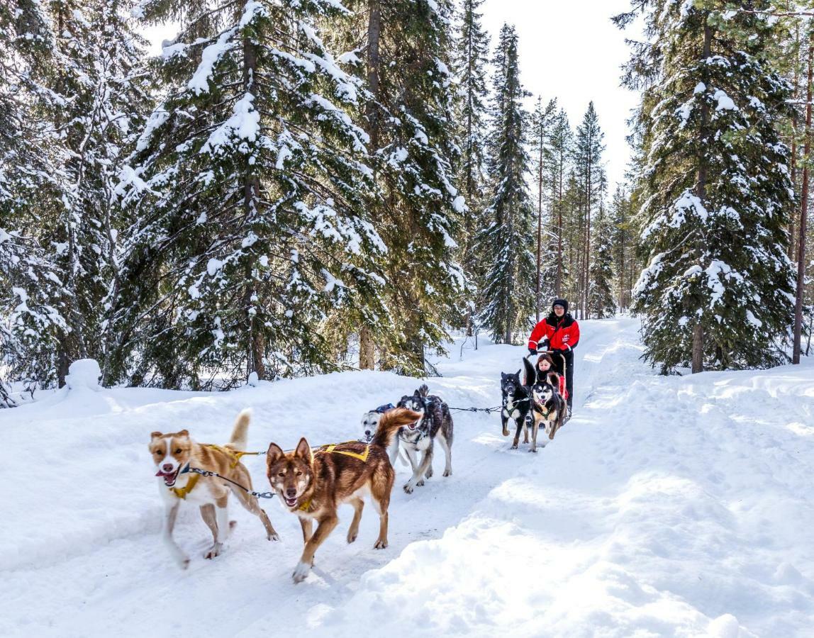 Lapland Hotels Bear'S Lodge Sinetta Luaran gambar